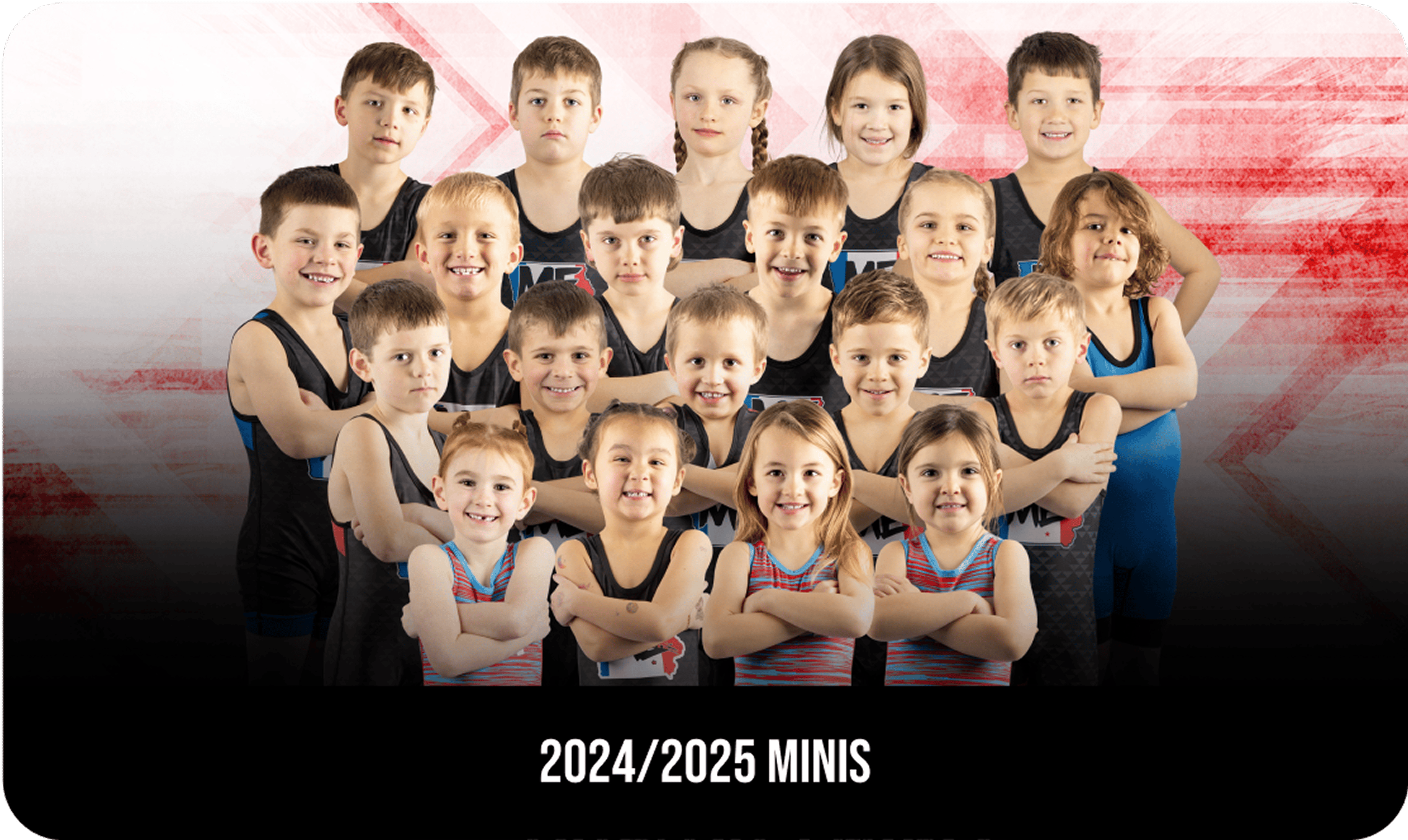 MINIS